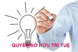 Sở hữu trí tuệ